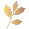 Forestique Logo